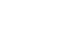 afem-logo