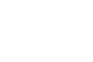 logo_footer_afem